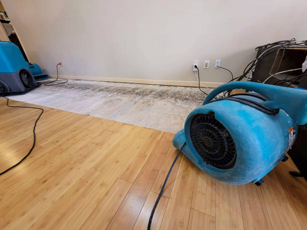 Professional Sewage Cleanup technician working in Trinidad, TX